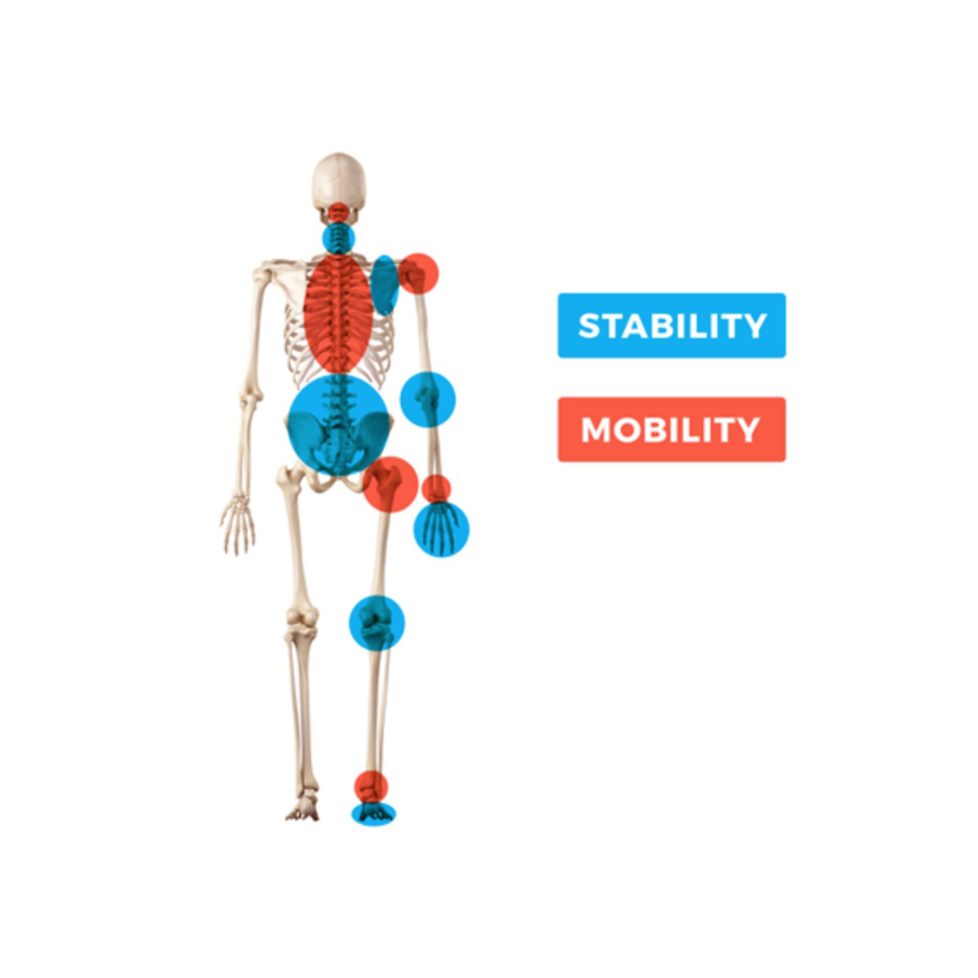 Mobility